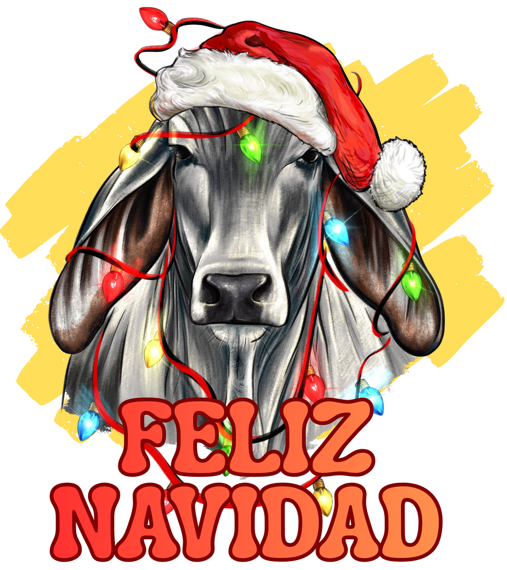 Feliz Navidad